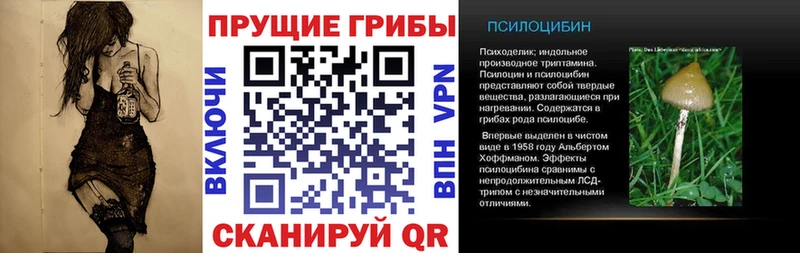 Галлюциногенные грибы GOLDEN TEACHER Алдан